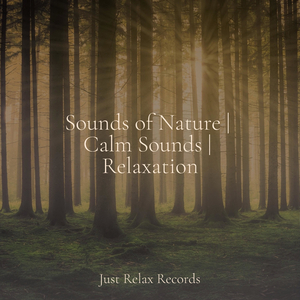 Cerulean Dreamscapes