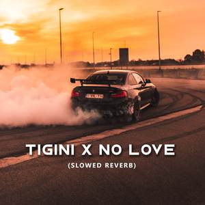 Tigini x No Love (Slowed + Reverb)