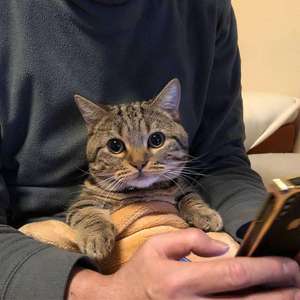 陪你去流浪（翻自 大蒜）