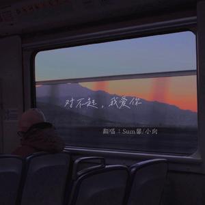 对不起我爱你（翻自 赵宥乔）