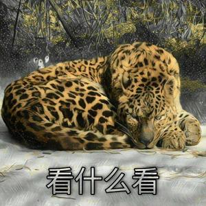 看什么看（PROD BY GOAT MUSIC）