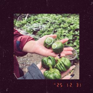 外婆桥 （Cover 任然）