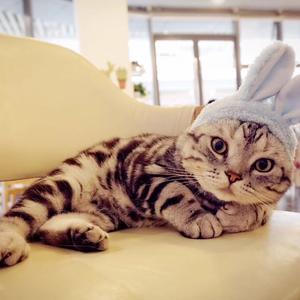 热气球（Cover 黄淑惠）