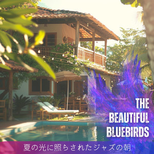 Sunbathed Serene Tempos