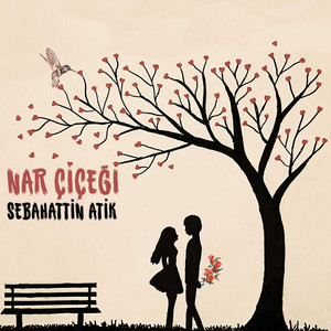 Nar Çiçeği