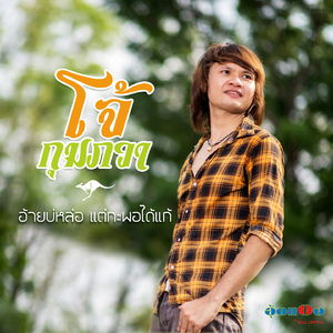 อ้ายบ่หล่อแต่กะพอได้แก้