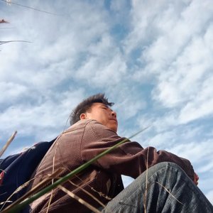 岩峰里盛开的花