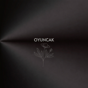 Oyuncak
