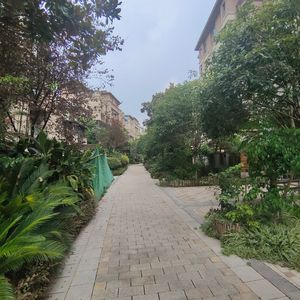 拥有你的爱 伴奏