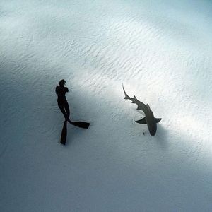 真爱假说（DJ小辞Remix版）