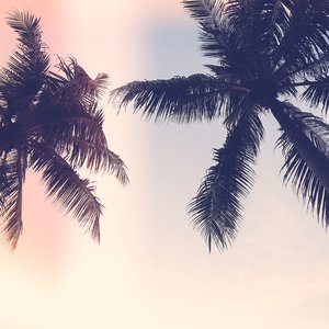 Ocean