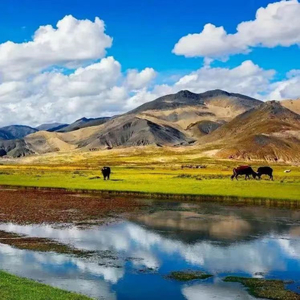 倒唱四季盼丈夫