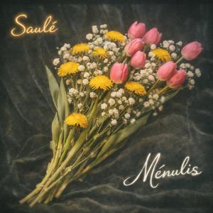 Saulė ir Mėnulis