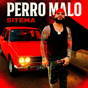 Perro Malo