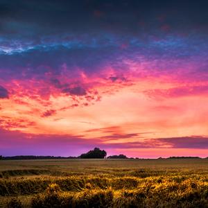 Vanilla Sky(香草天空)
