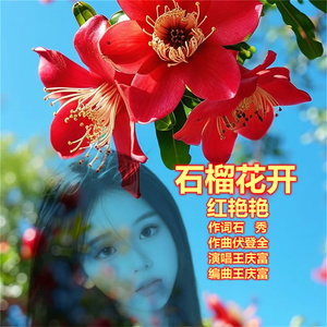 石榴花开红艳艳