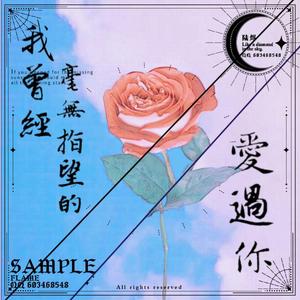 我曾经毫无指望的爱过你（少女念白版）