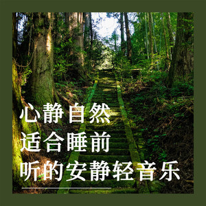 星光漫步之夜 (钢片琴)