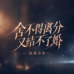 舍不得离分又结不了婚