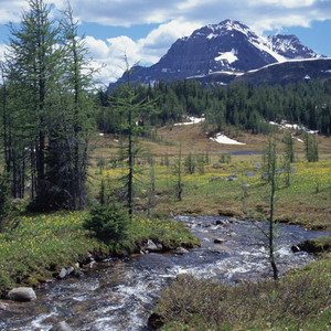 暖炉 (だんろ) ～富良野にて～