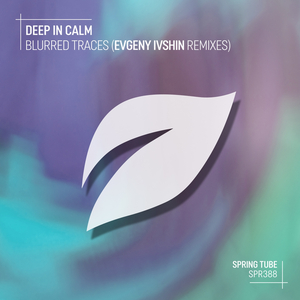Soul Control (Evgeny Ivshin Remix)