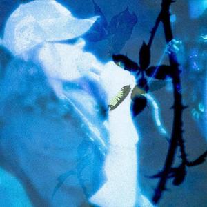 i dont want to see my face