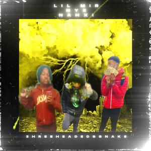 3hreeHeadedSnake (Live) [feat. lil mir & ny5]