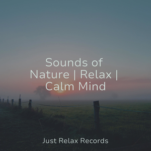 Footsteps in Silence