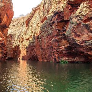 郑智化-水手（雨林 remix）