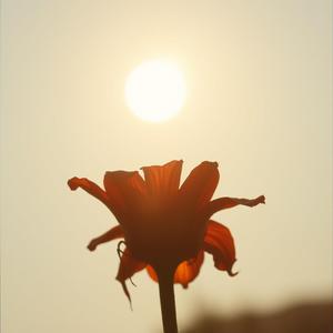 ನೀನು ಹೋದಾಗ, ಹೃದಯ ಬಿಸಿಲಾಯಿತು (Remastered) by @ng_melodious