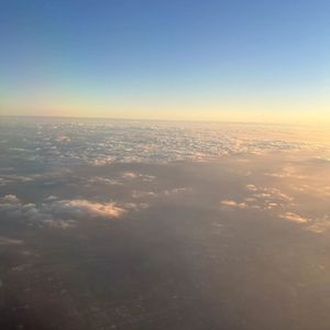 未妨惆怅是清狂