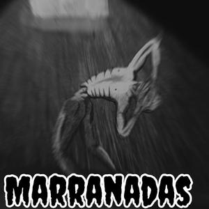 Marranadas
