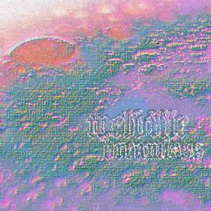 lullabayou