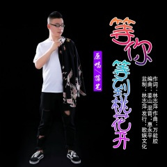 等你等到桃花开