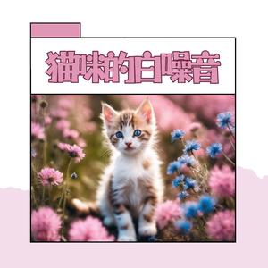 舒缓猫咪的情绪