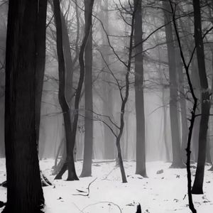 回忆录（prodEVOMUSIC）