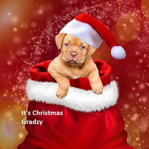 Snowfall in the Starlight