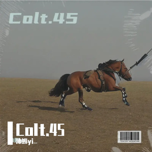 Colt.45