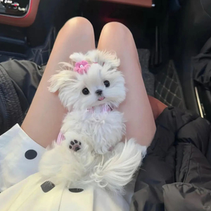 빈 사람