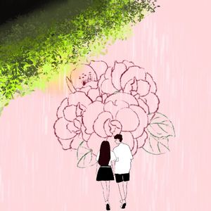 山茶花