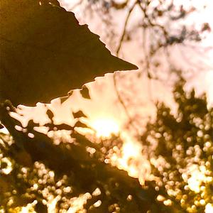 i see the sky