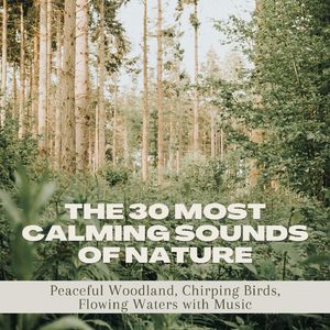 Soothing Natural Song
