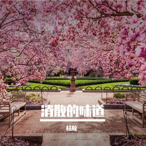 消散的味道（女版）