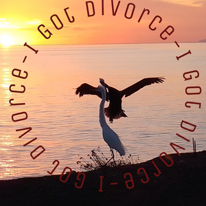 I Got Divorce