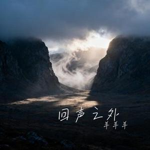 回声之外