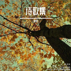 如果有来生，要做一棵树