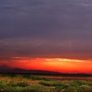 我是不是你最疼爱的人