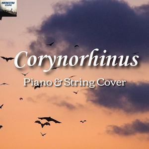 Corynorhinus (Piano and String Cover)