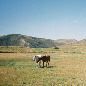 Do I Like You Like That