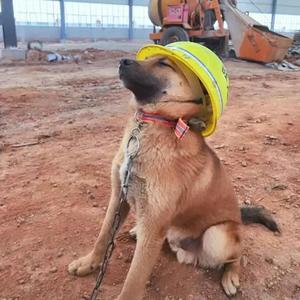 黄老板 (Pro.By Simon Marcus)